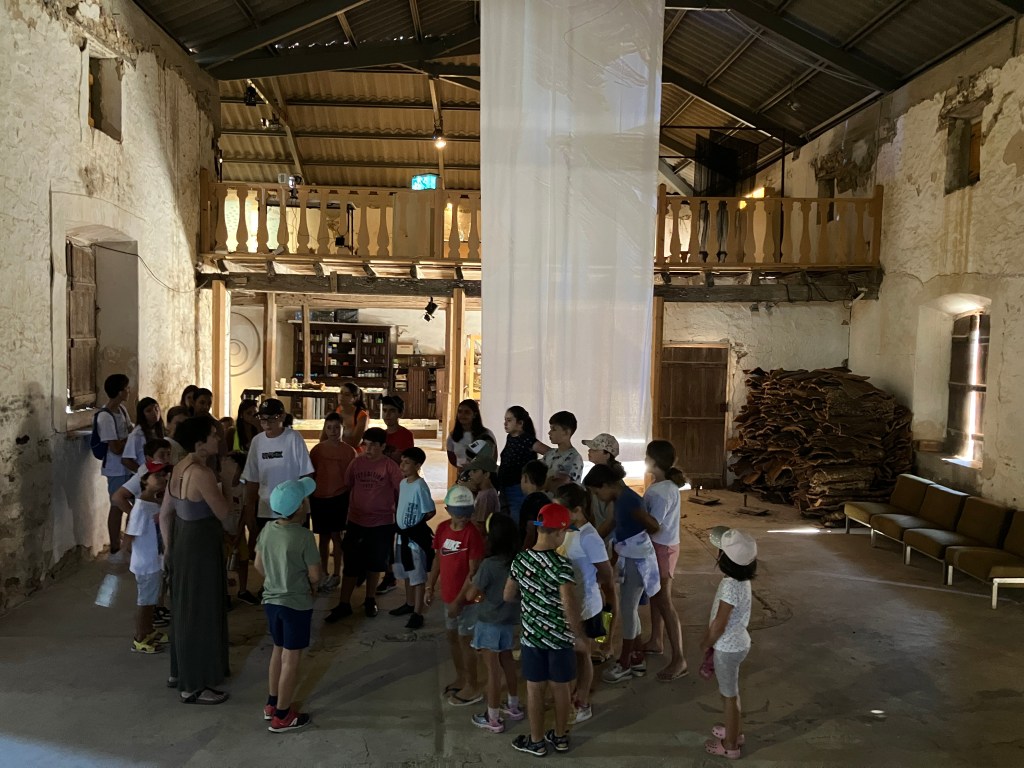 Studio space at Cultivamos Cultura
